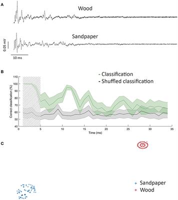 Toward an Improvement of the Analysis of Neural Coding